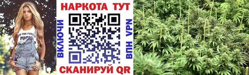 Названия наркотиков Волхов A-PVP  Codein  ГАШИШ  кракен зеркало  Меф 