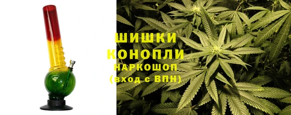 прущие грибы Алексин