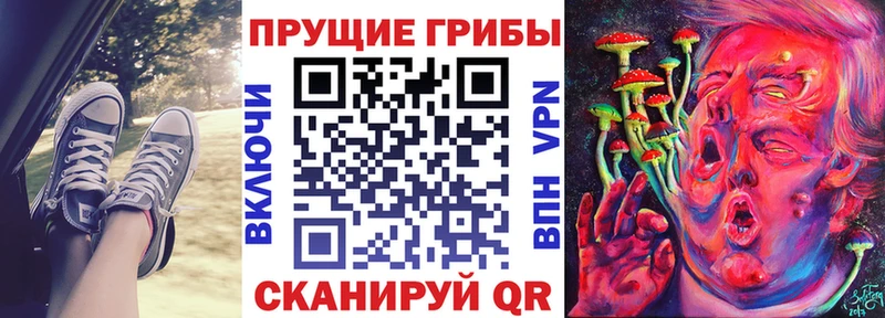 Псилоцибиновые грибы Magic Shrooms  Волхов 