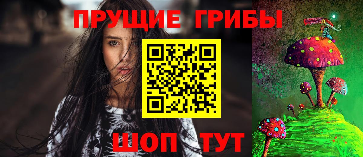 купить   Вход с VPN  Псилоцибиновые грибы мицелий  Волхов  Псилоцибиновые грибы прущие грибы 