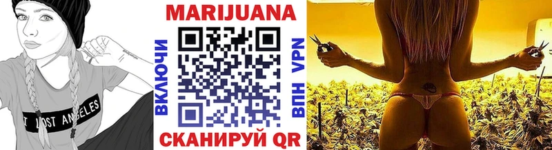где купить наркоту  Волхов  Марихуана Amnesia 