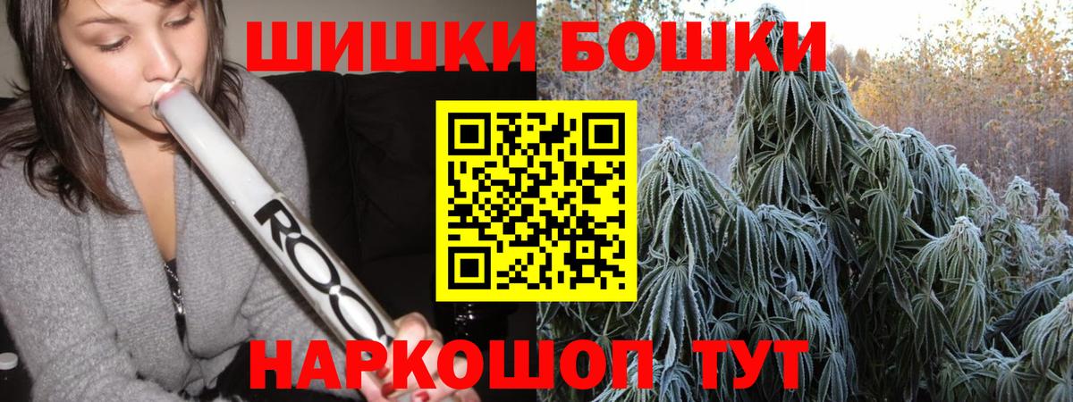 Марихуана сатива Волхов